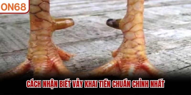 Cách nhận biết vảy Khai Tiền chuẩn chỉnh nhất