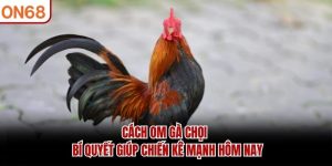 Cách Om Gà Chọi