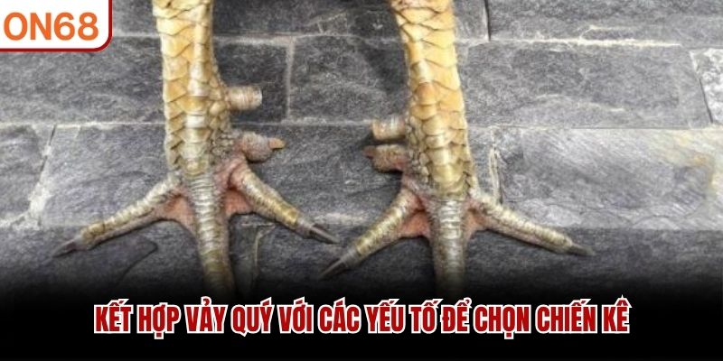 Kết hợp vảy quý với các yếu tố để chọn chiến kê