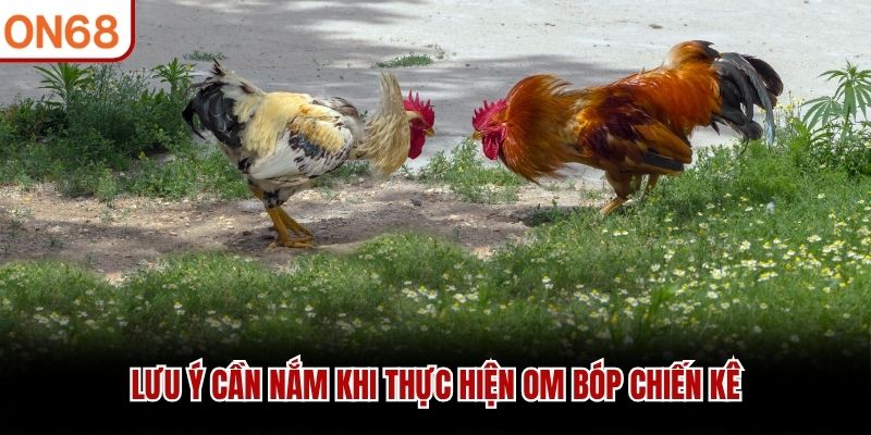 Lưu ý cần nắm khi thực hiện om bóp chiến kê