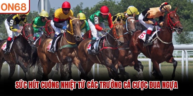 Sức hút cuồng nhiệt từ các trường cá cược đua ngựa