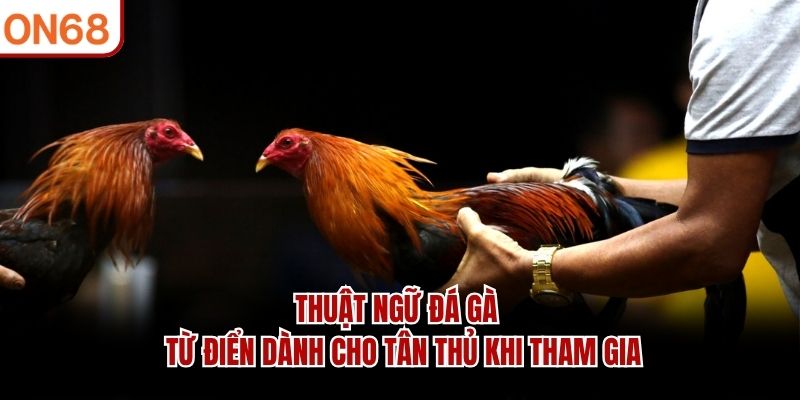 Thuật Ngữ Đá Gà