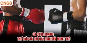 Cá Cược Boxing