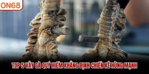 Vảy Gà Quý